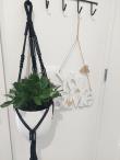Macrame zavesne kvetinace (20240504/8)