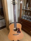 Gitara Seagull Coastline Momentum