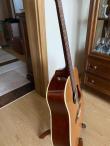Gitara Seagull Coastline Momentum (3/11)