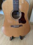 Gitara Seagull Coastline Momentum (5/11)