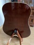Gitara Seagull Coastline Momentum (6/11)