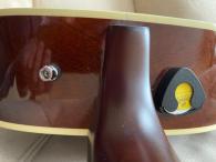 Gitara Seagull Coastline Momentum (9/11)
