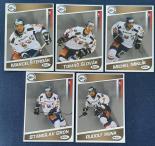HC KOŠICE 2008-2009 (10/11)