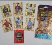 PREMIUM GOLD LIMITED EDITION FIFA 365 2025 (4/4)