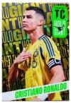 PANINI TOP CLASS 2025 - Starter Set (7/6)