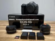 Nikon Z9, Nikon Z8, Nikon Z 7II, Nikon D6, Nikon D850, Nikon D780, Canon EOS R3 (15/15)